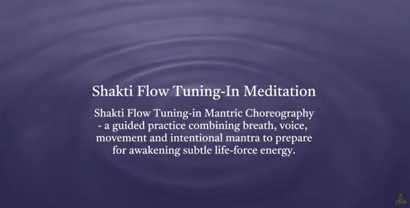 Shakti Flow Tuning-In Meditation